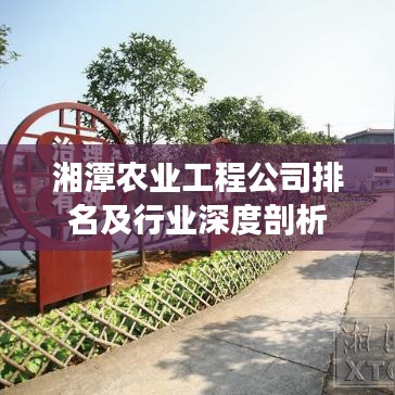 湘潭农业工程公司排名及行业深度剖析