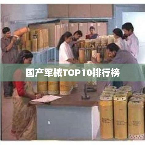 国产军械TOP10排行榜