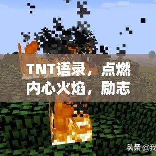 TNT语录，点燃内心火焰，励志砥砺前行