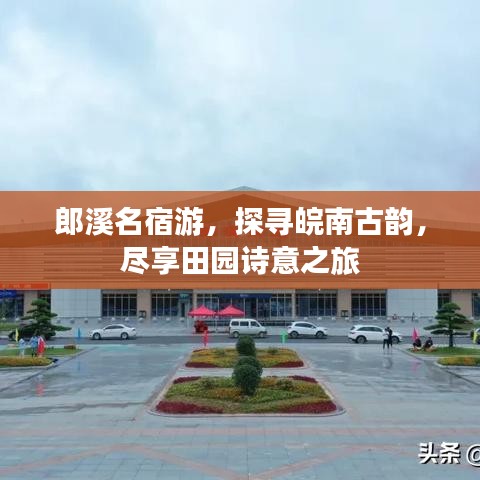 家长交流 第546页