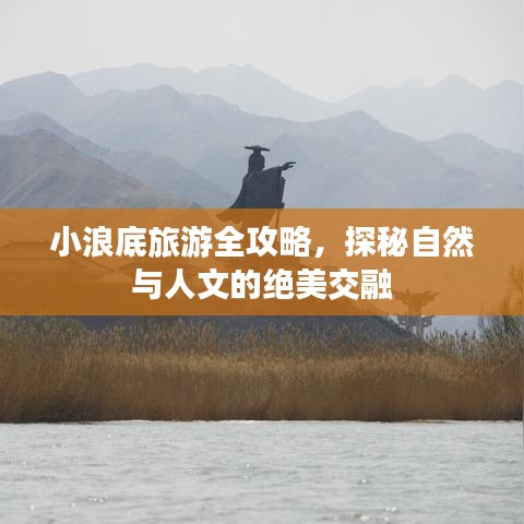 一石二鸟 第3页