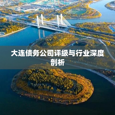 大连债务公司评级与行业深度剖析