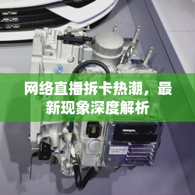 倦鸟思归 第2页