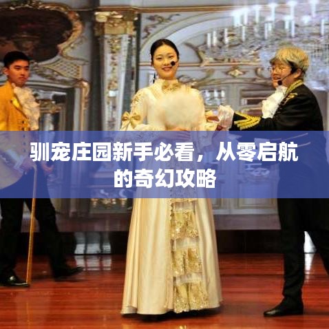 驯宠庄园新手必看，从零启航的奇幻攻略