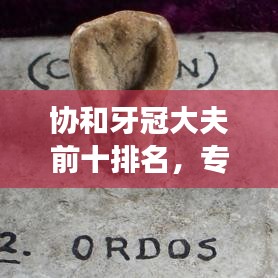 协和牙冠大夫前十排名，专业口腔医疗优选