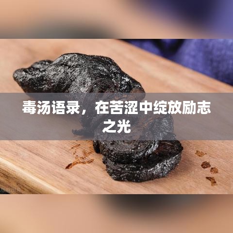 毒汤语录，在苦涩中绽放励志之光