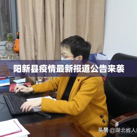 阳新县疫情最新报道公告来袭