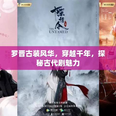 飞箭如蝗 第3页
