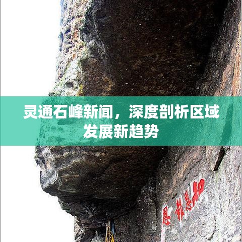 灵通石峰新闻，深度剖析区域发展新趋势