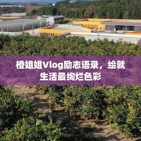 橙姐姐Vlog励志语录，绘就生活最绚烂色彩