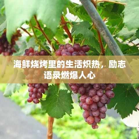 海鲜烧烤里的生活炽热，励志语录燃爆人心