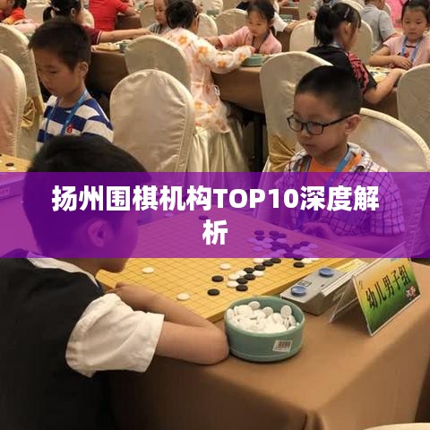 扬州围棋机构TOP10深度解析