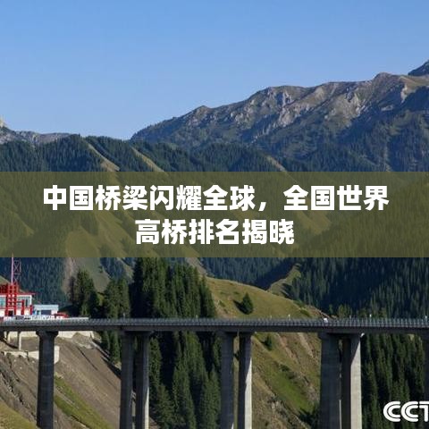 中国桥梁闪耀全球，全国世界高桥排名揭晓