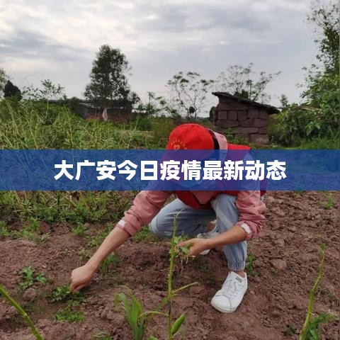 大广安今日疫情最新动态