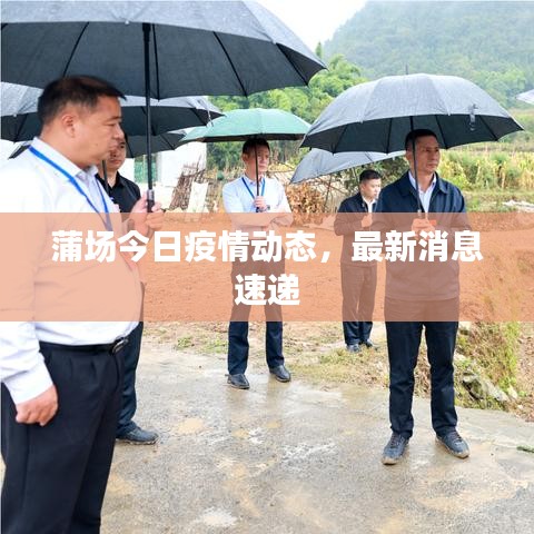 蒲场今日疫情动态，最新消息速递
