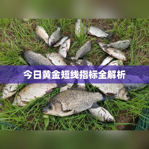 不知所云 第2页