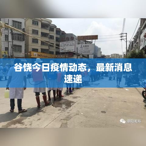 谷饶今日疫情动态，最新消息速递