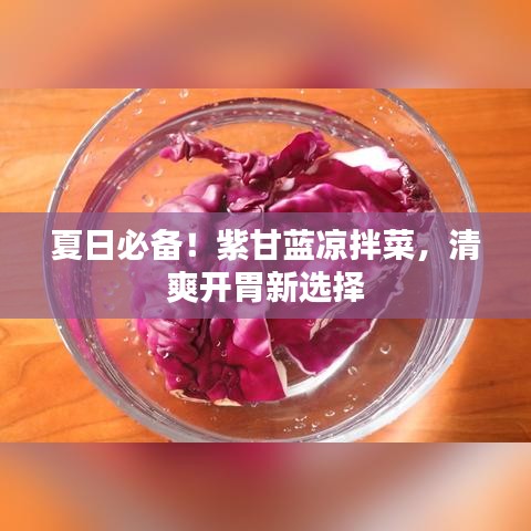 夏日必备！紫甘蓝凉拌菜，清爽开胃新选择