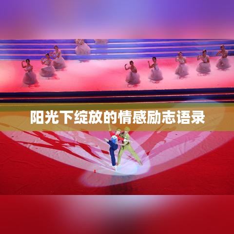 阳光下绽放的情感励志语录