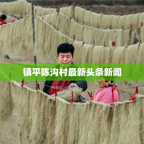 镇平陈沟村最新头条新闻