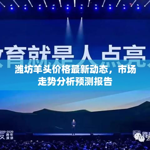 潍坊羊头价格最新动态，市场走势分析预测报告