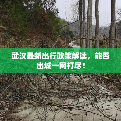 武汉最新出行政策解读，能否出城一网打尽！