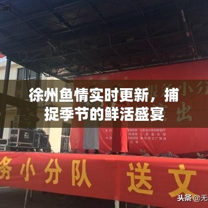 徐州鱼情实时更新，捕捉季节的鲜活盛宴