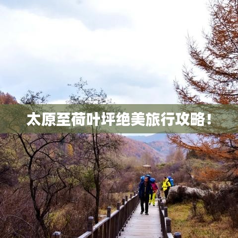 太原至荷叶坪绝美旅行攻略！