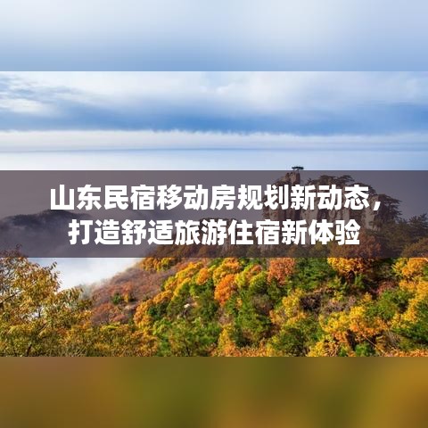 山东民宿移动房规划新动态，打造舒适旅游住宿新体验