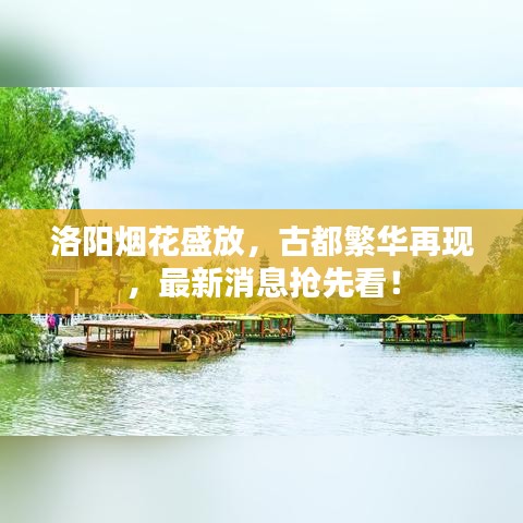 洛阳烟花盛放，古都繁华再现，最新消息抢先看！