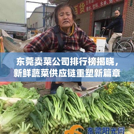 东莞卖菜公司排行榜揭晓，新鲜蔬菜供应链重塑新篇章！