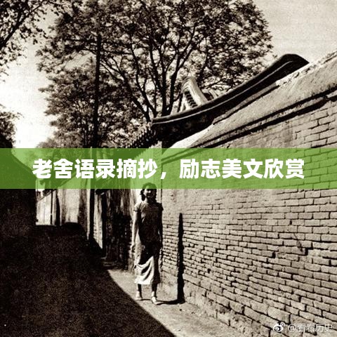 老舍语录摘抄，励志美文欣赏