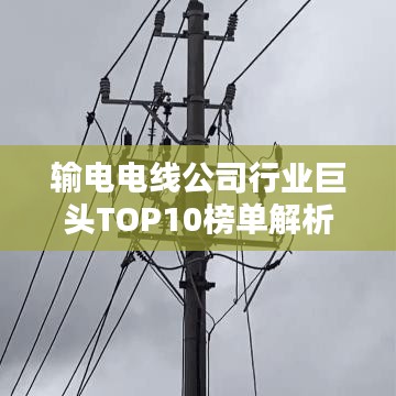 输电电线公司行业巨头TOP10榜单解析