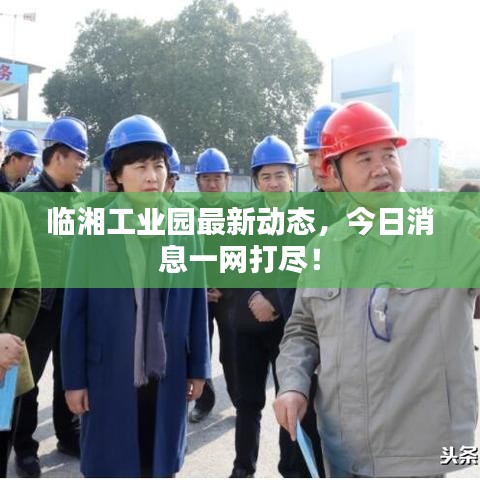 临湘工业园最新动态，今日消息一网打尽！