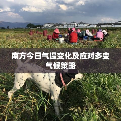 南方今日气温变化及应对多变气候策略