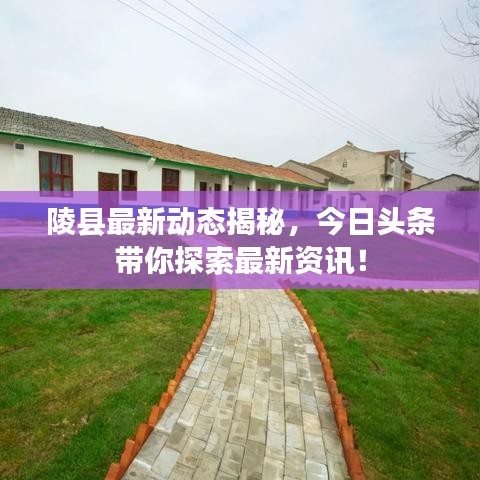 陵县最新动态揭秘，今日头条带你探索最新资讯！