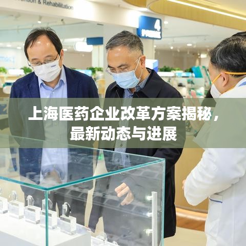 上海医药企业改革方案揭秘，最新动态与进展