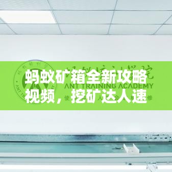 蚂蚁矿箱全新攻略视频，挖矿达人速成指南！