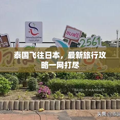 泰国飞往日本，最新旅行攻略一网打尽