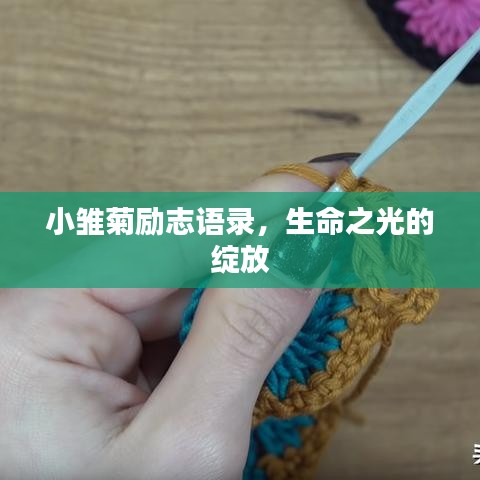 小雏菊励志语录，生命之光的绽放