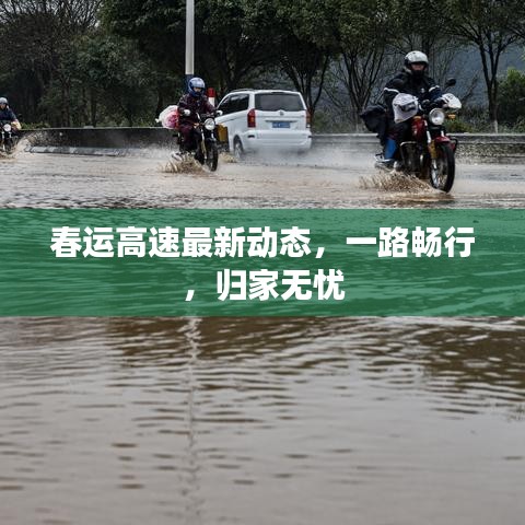 春运高速最新动态，一路畅行，归家无忧