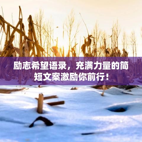 励志希望语录，充满力量的简短文案激励你前行！