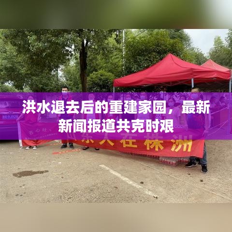 洪水退去后的重建家园，最新新闻报道共克时艰