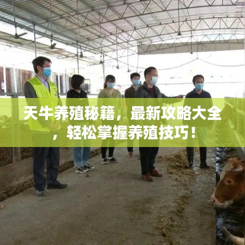 天牛养殖秘籍，最新攻略大全，轻松掌握养殖技巧！