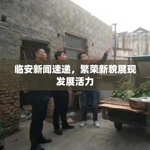 临安新闻速递，繁荣新貌展现发展活力