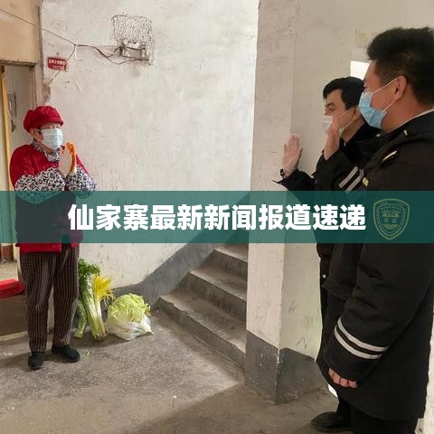 仙家寨最新新闻报道速递