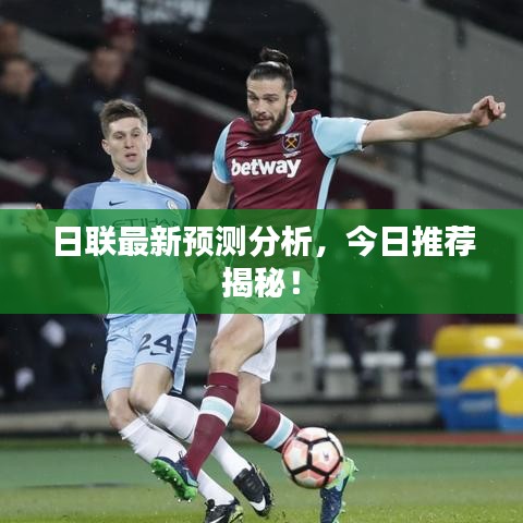日联最新预测分析，今日推荐揭秘！