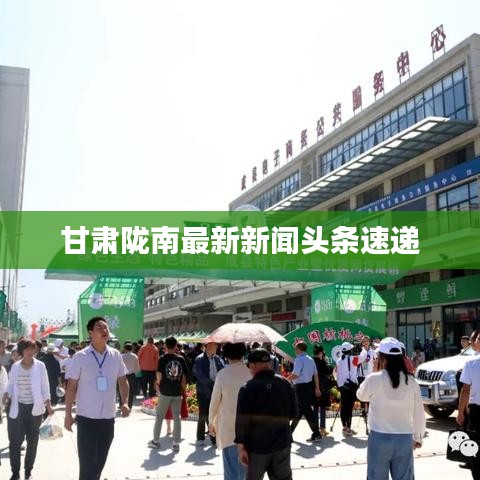 甘肃陇南最新新闻头条速递