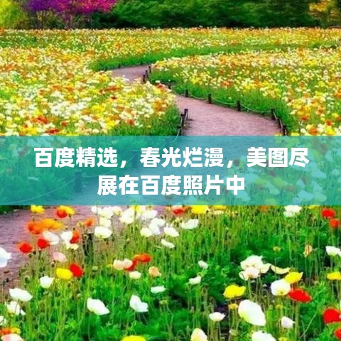 百度精选，春光烂漫，美图尽展在百度照片中