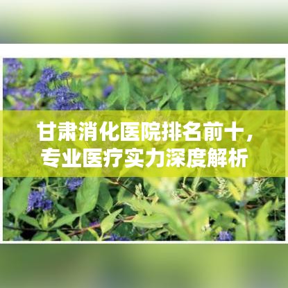 甘肃消化医院排名前十，专业医疗实力深度解析